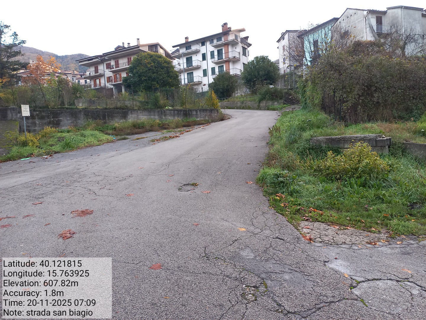 Galleria Fotografica Immagine