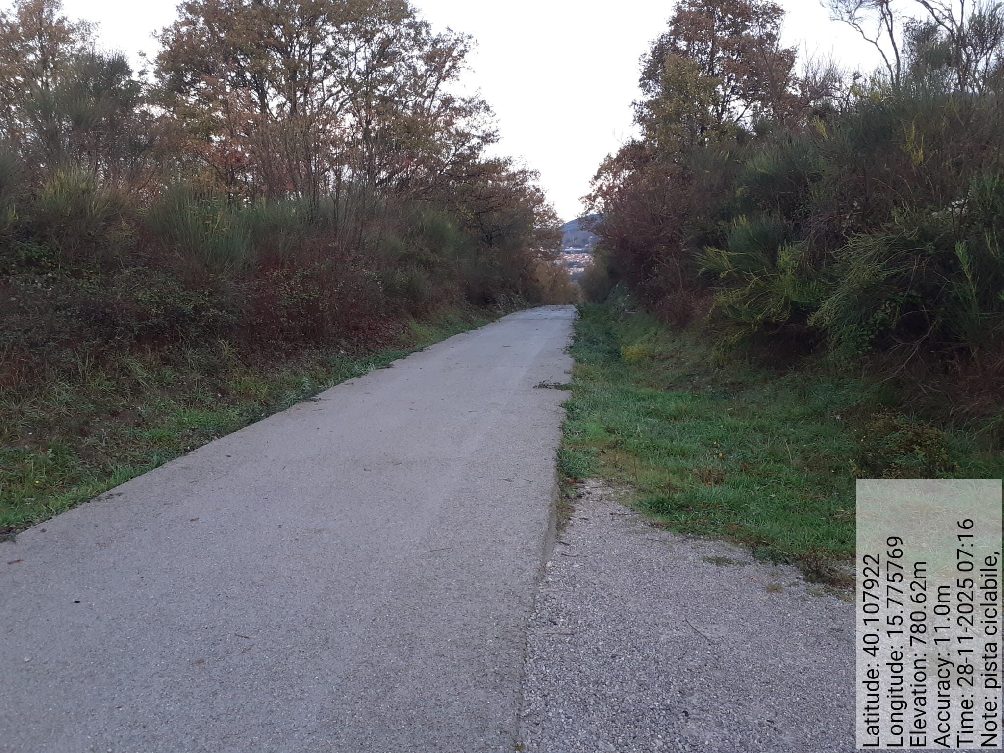 Galleria Fotografica Immagine