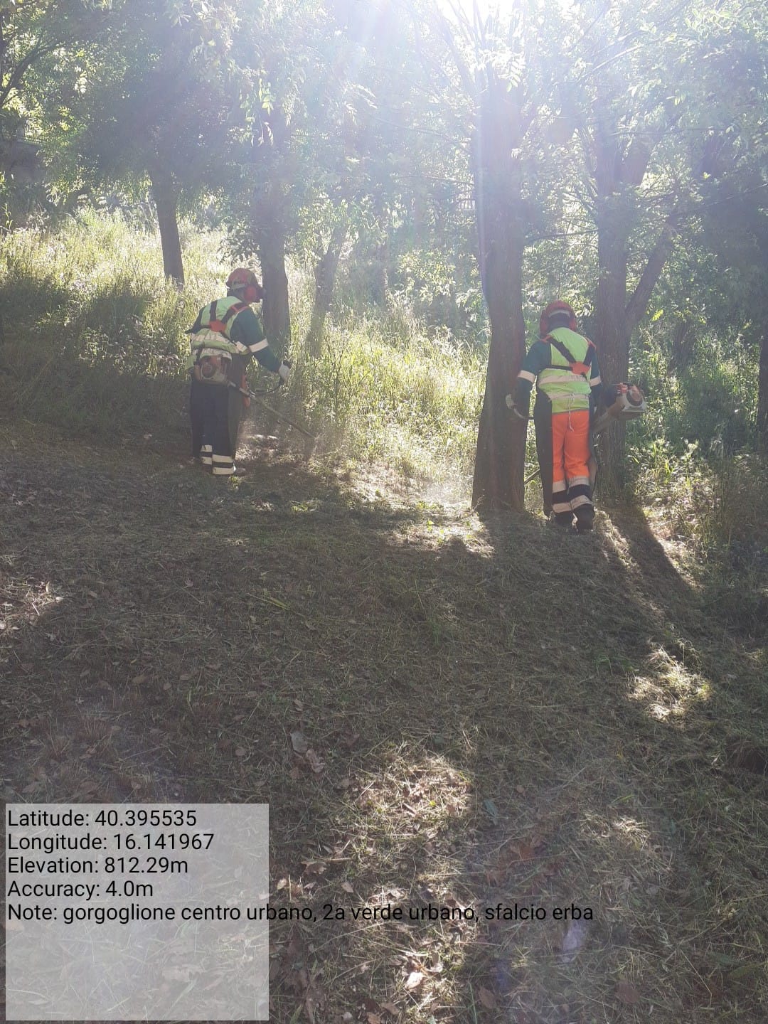 Galleria Fotografica Immagine