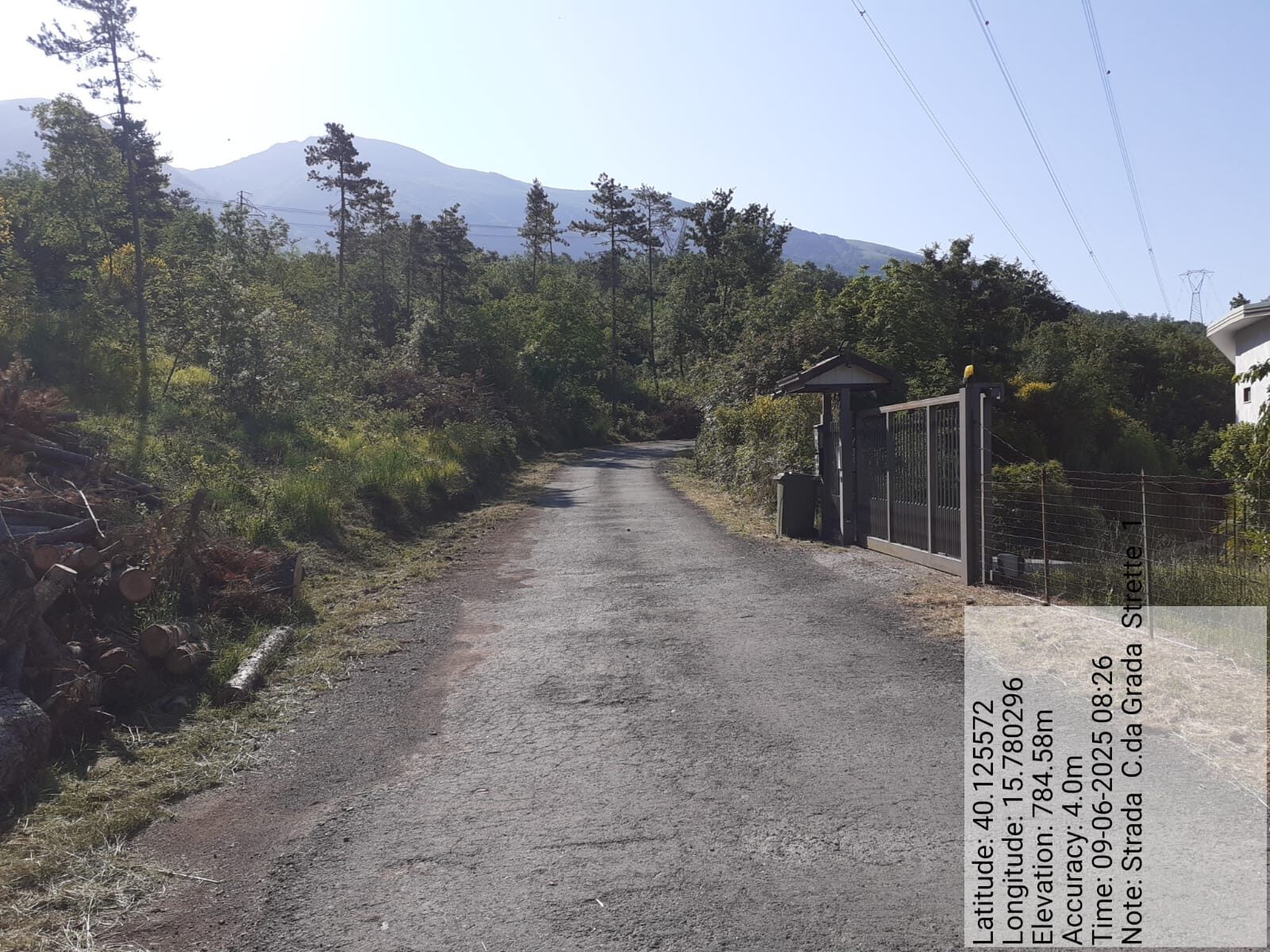 Galleria Fotografica Immagine