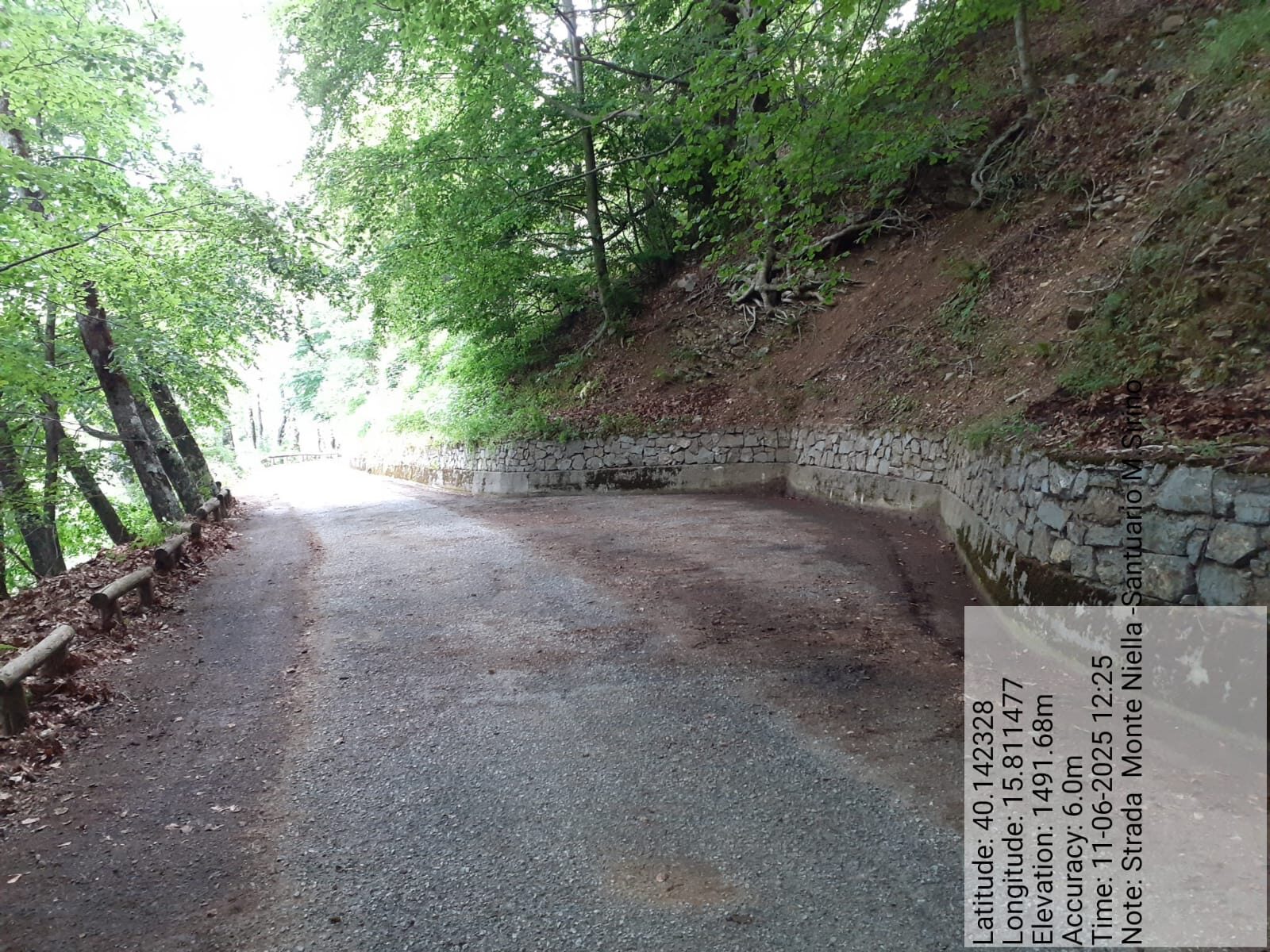 Galleria Fotografica Immagine