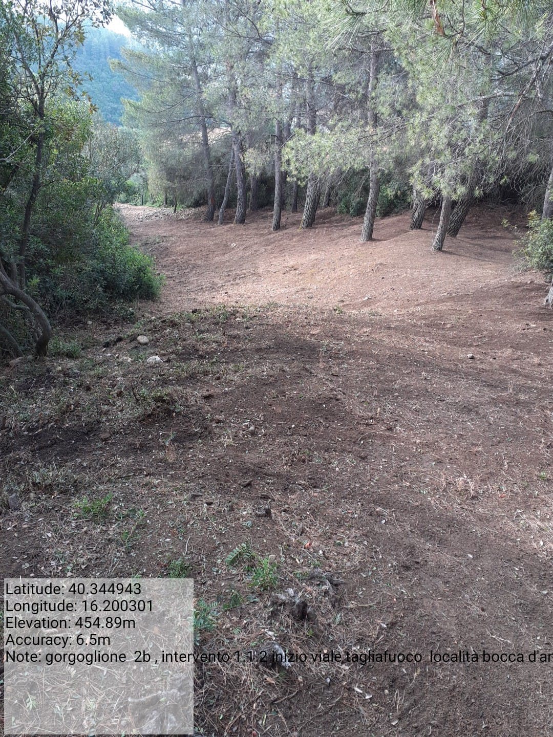 Galleria Fotografica Immagine