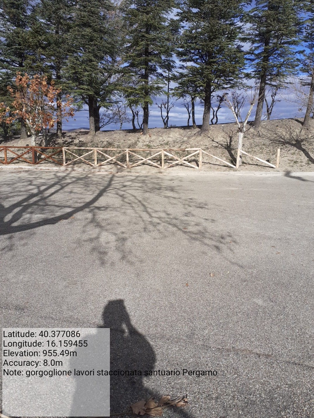 Galleria Fotografica Immagine