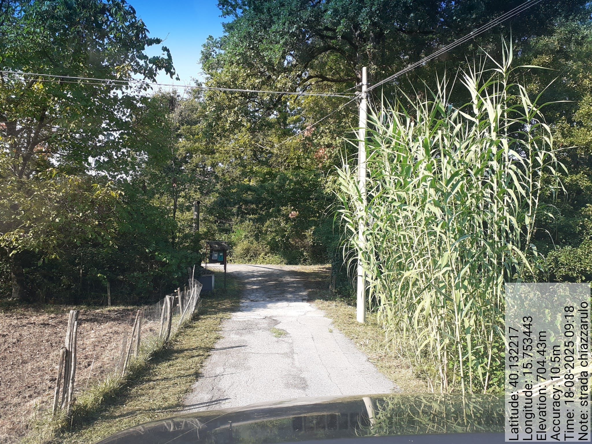 Galleria Fotografica Immagine