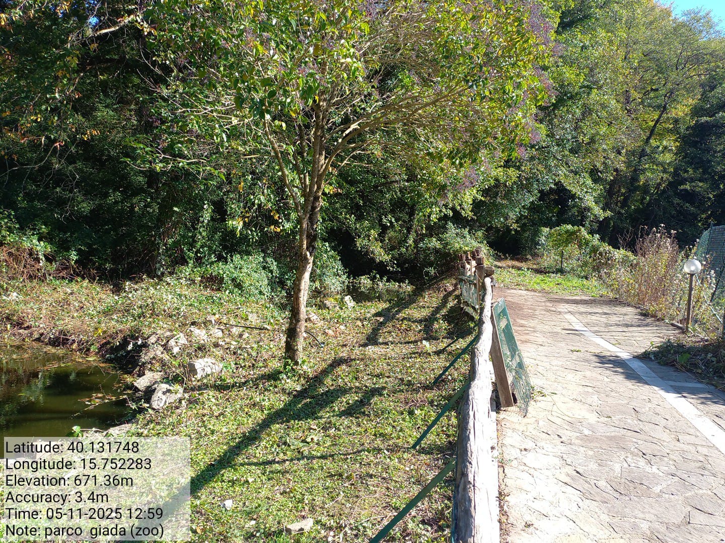 Galleria Fotografica Immagine