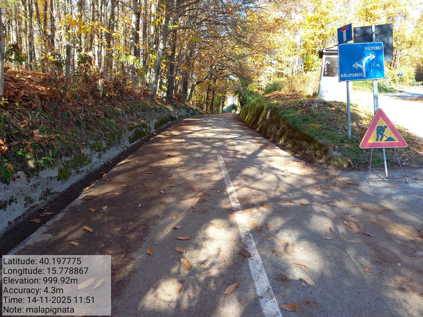 Galleria Fotografica Immagine