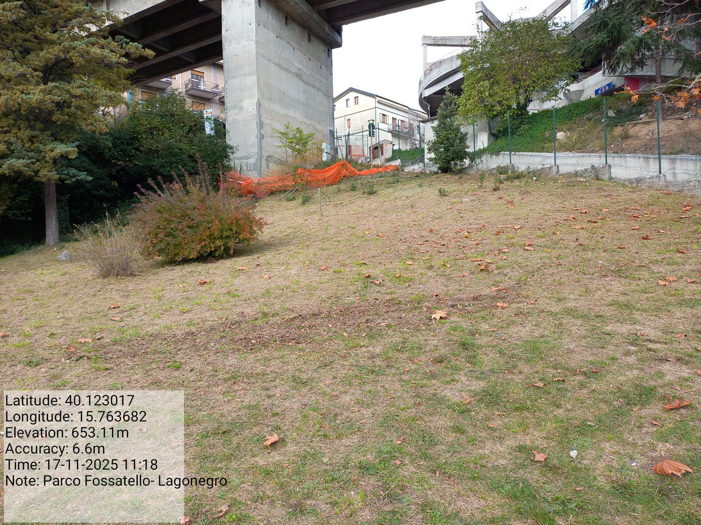 Galleria Fotografica Immagine