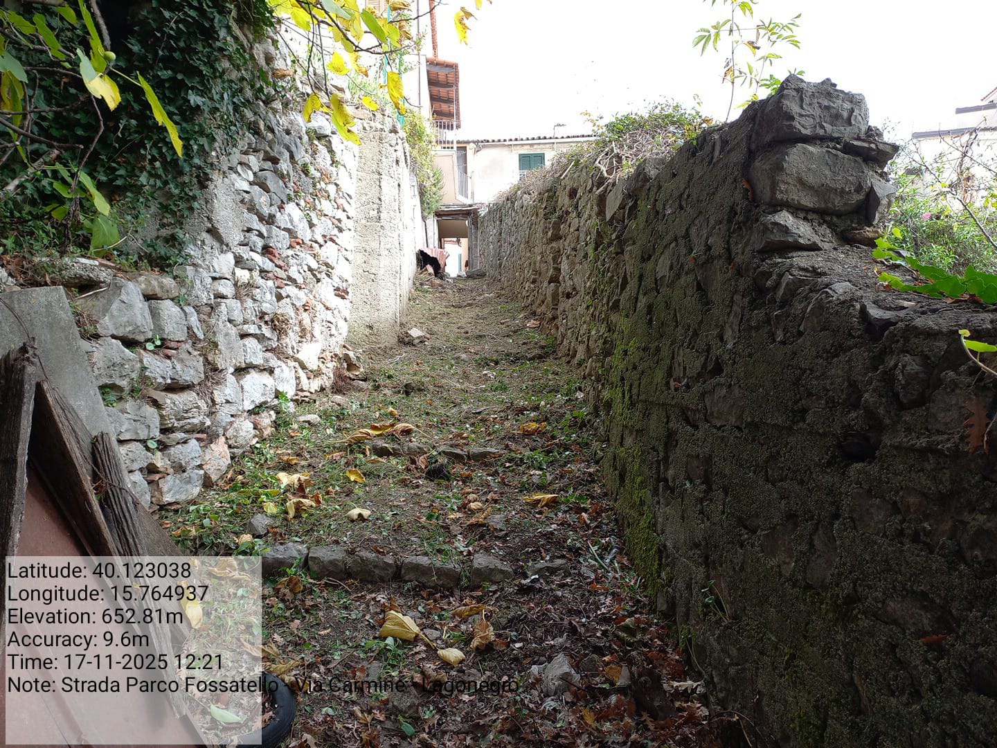 Galleria Fotografica Immagine