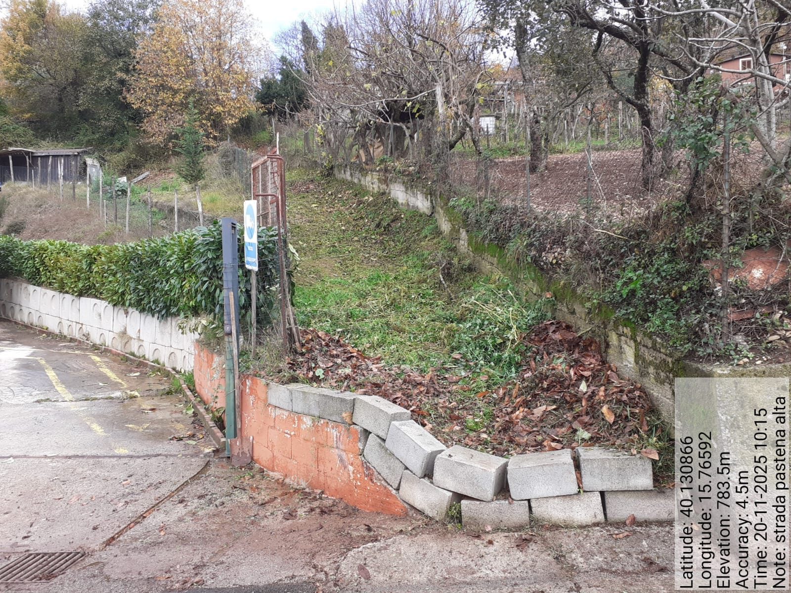 Galleria Fotografica Immagine