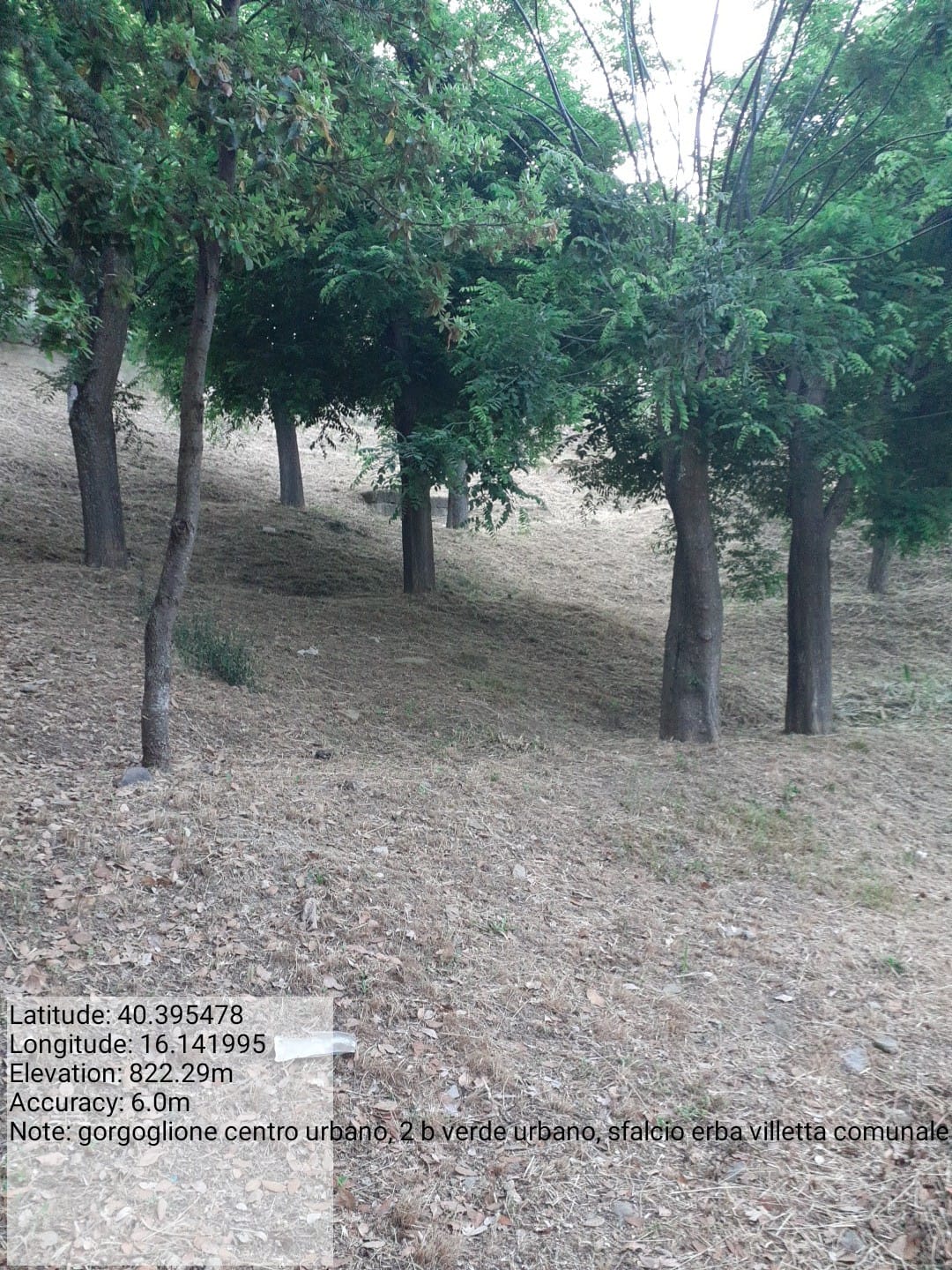 Galleria Fotografica Immagine