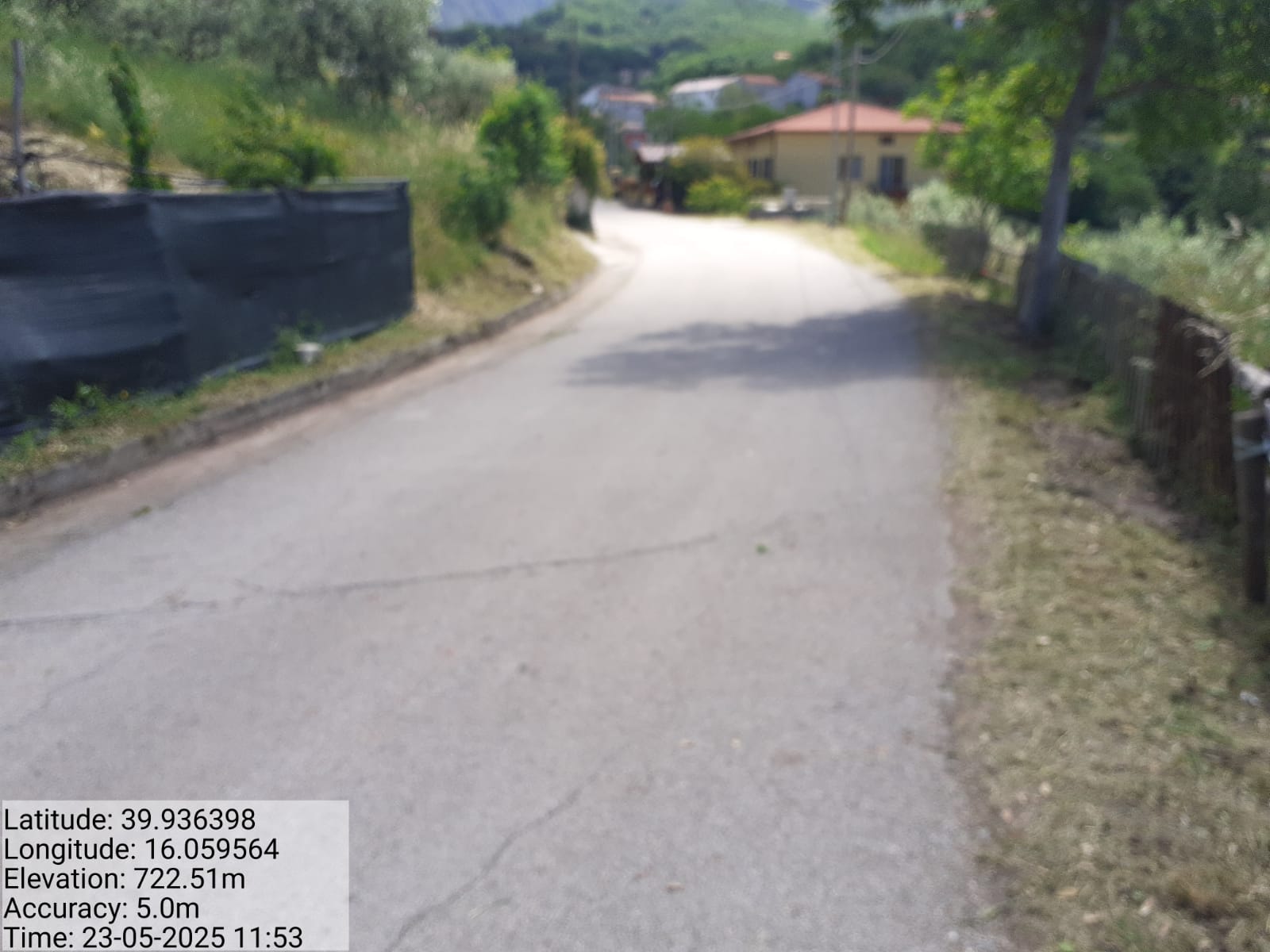 Galleria Fotografica Immagine