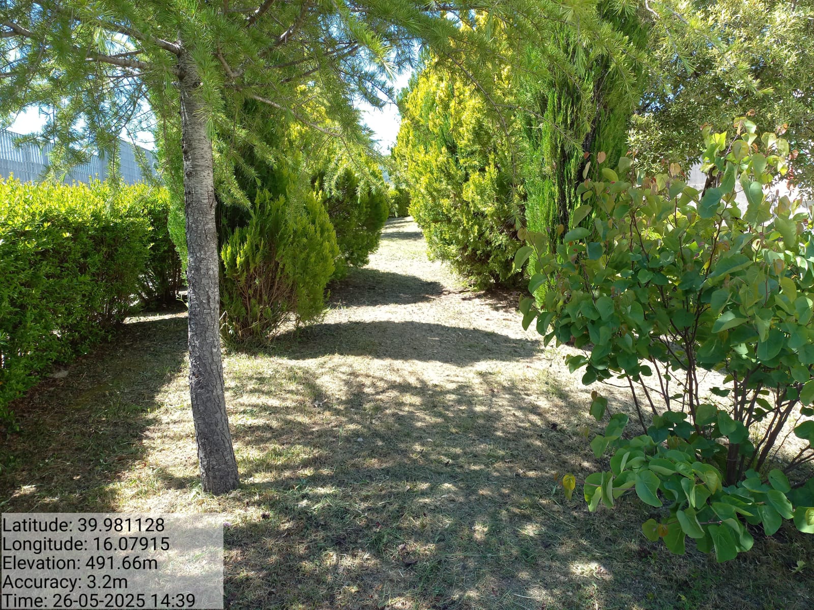 Galleria Fotografica Immagine