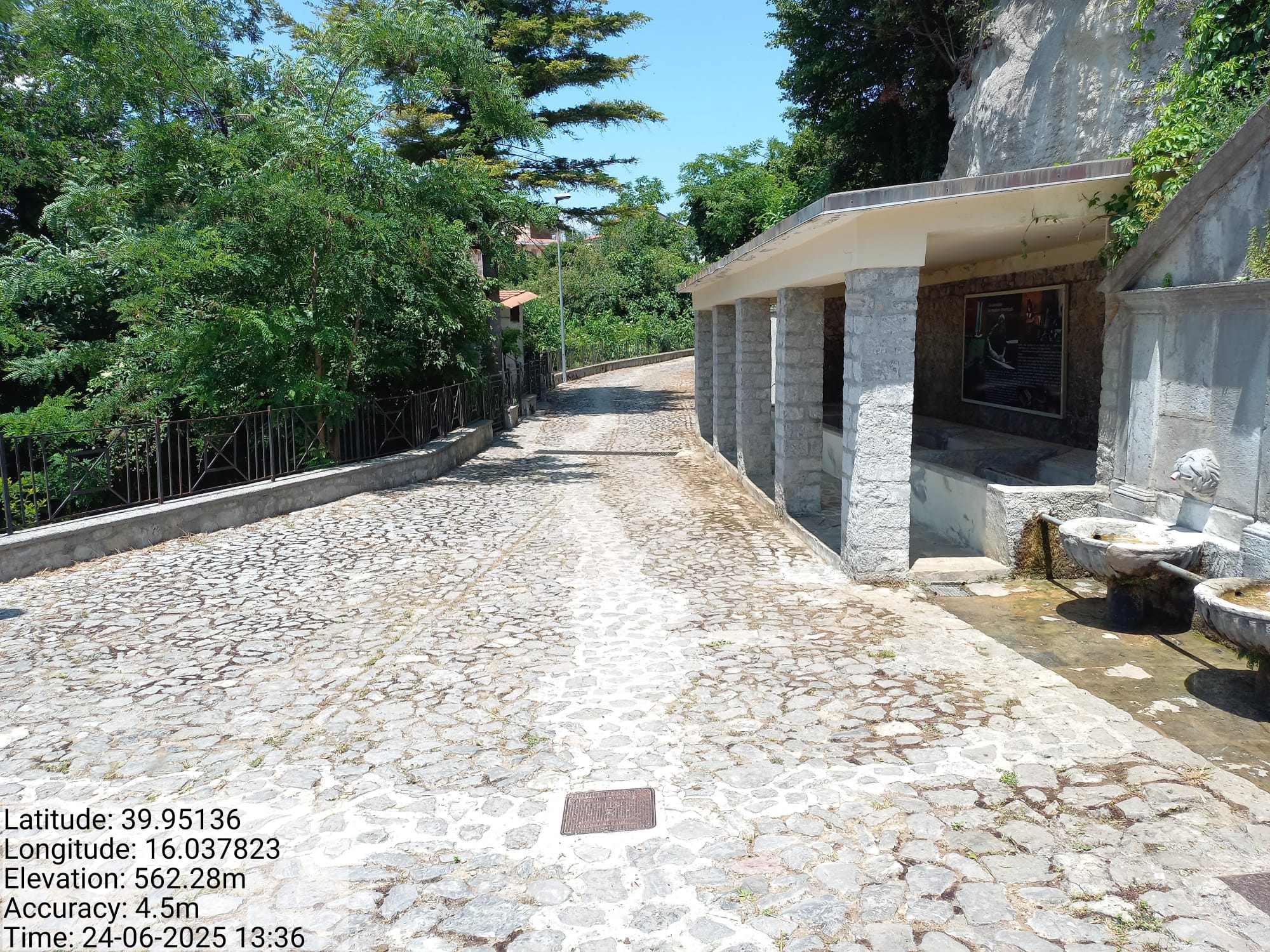 Galleria Fotografica Immagine