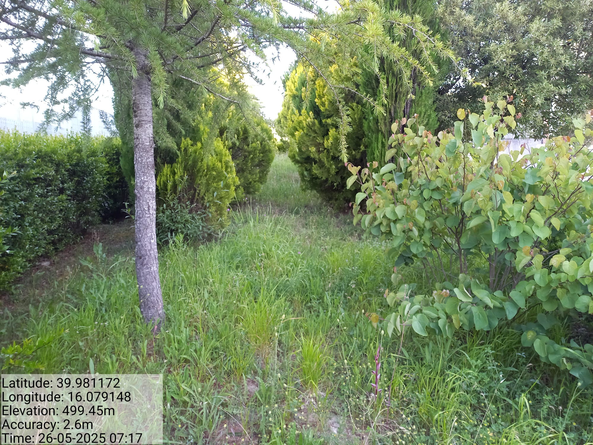 Galleria Fotografica Immagine