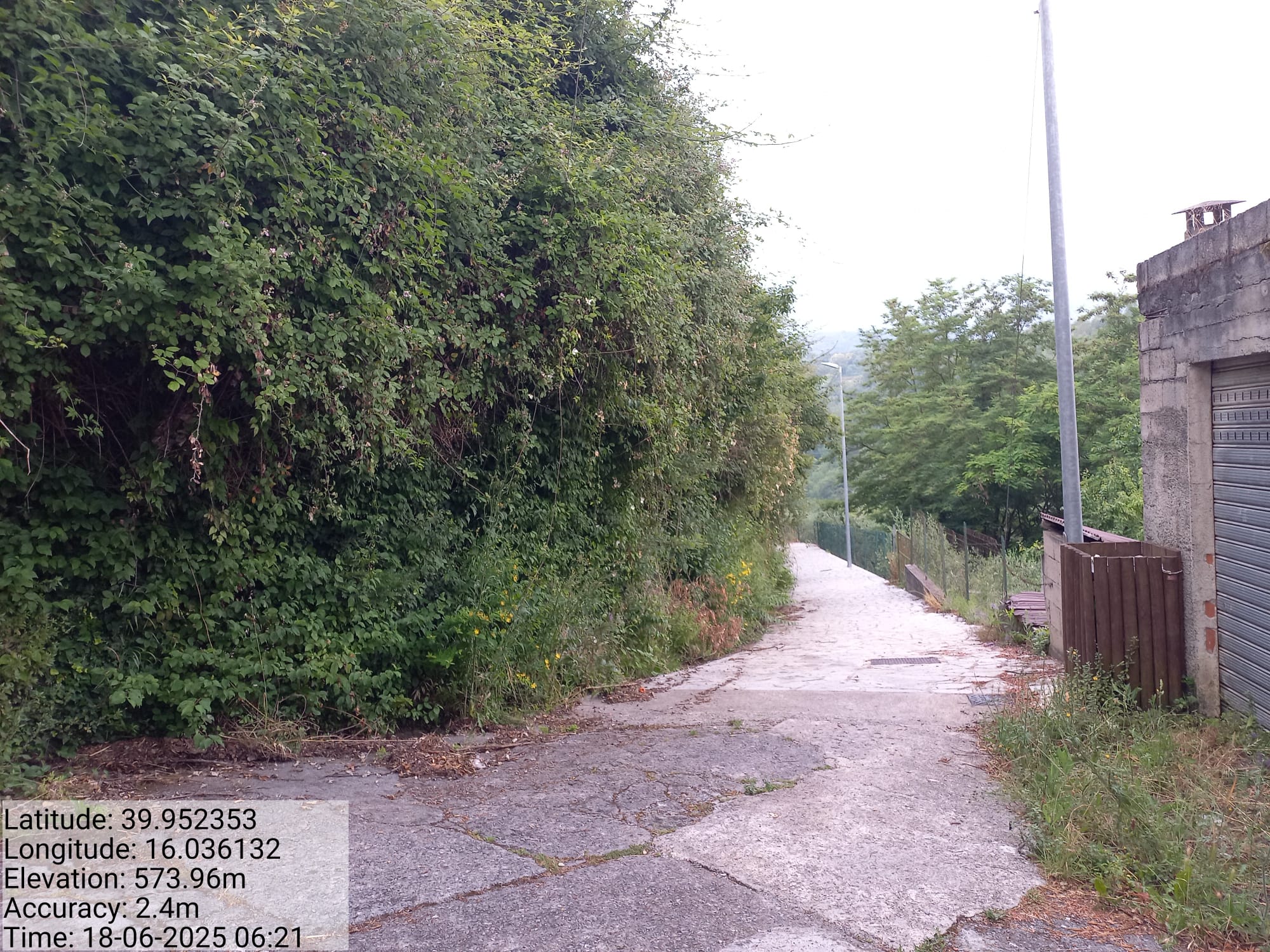 Galleria Fotografica Immagine