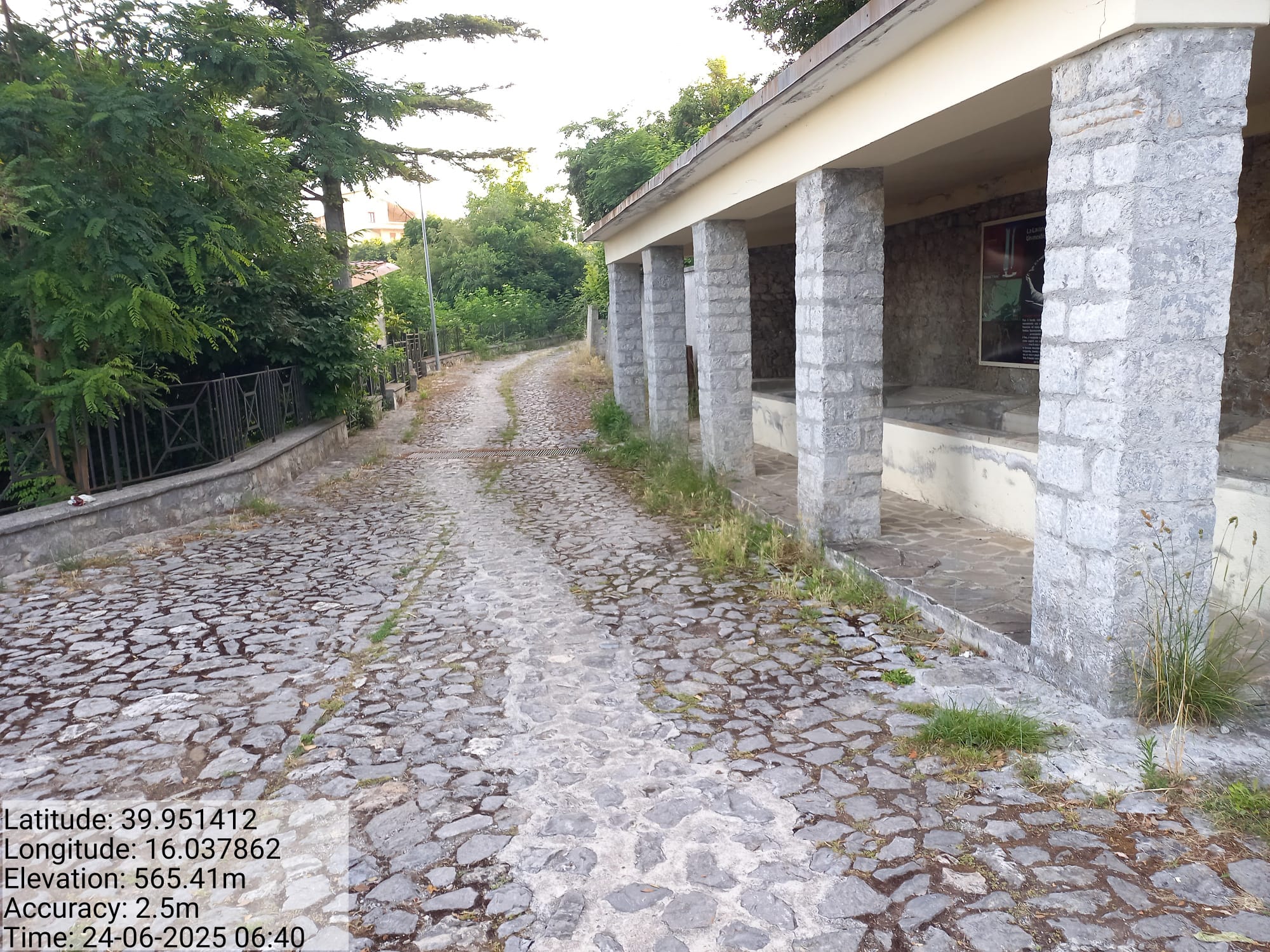 Galleria Fotografica Immagine