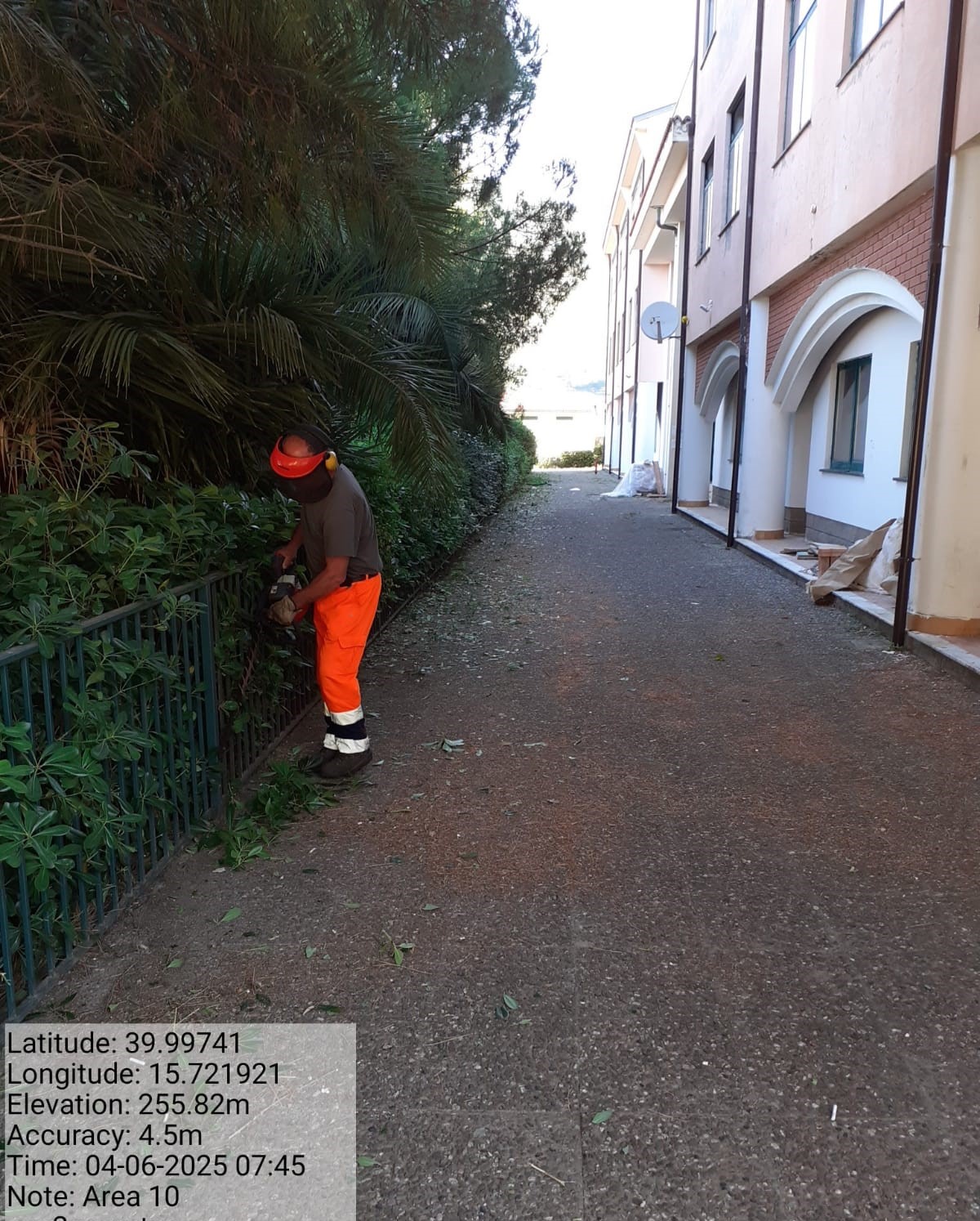 Galleria Fotografica Immagine