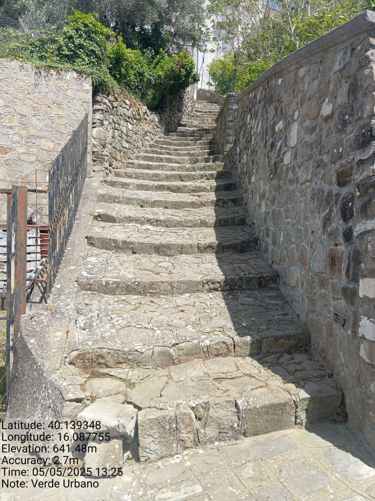 Galleria Fotografica Immagine