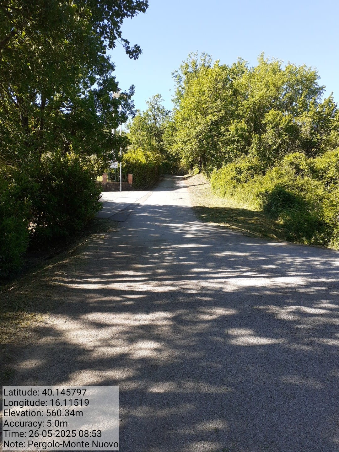 Galleria Fotografica Immagine