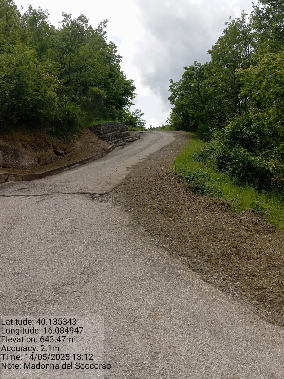 Galleria Fotografica Immagine