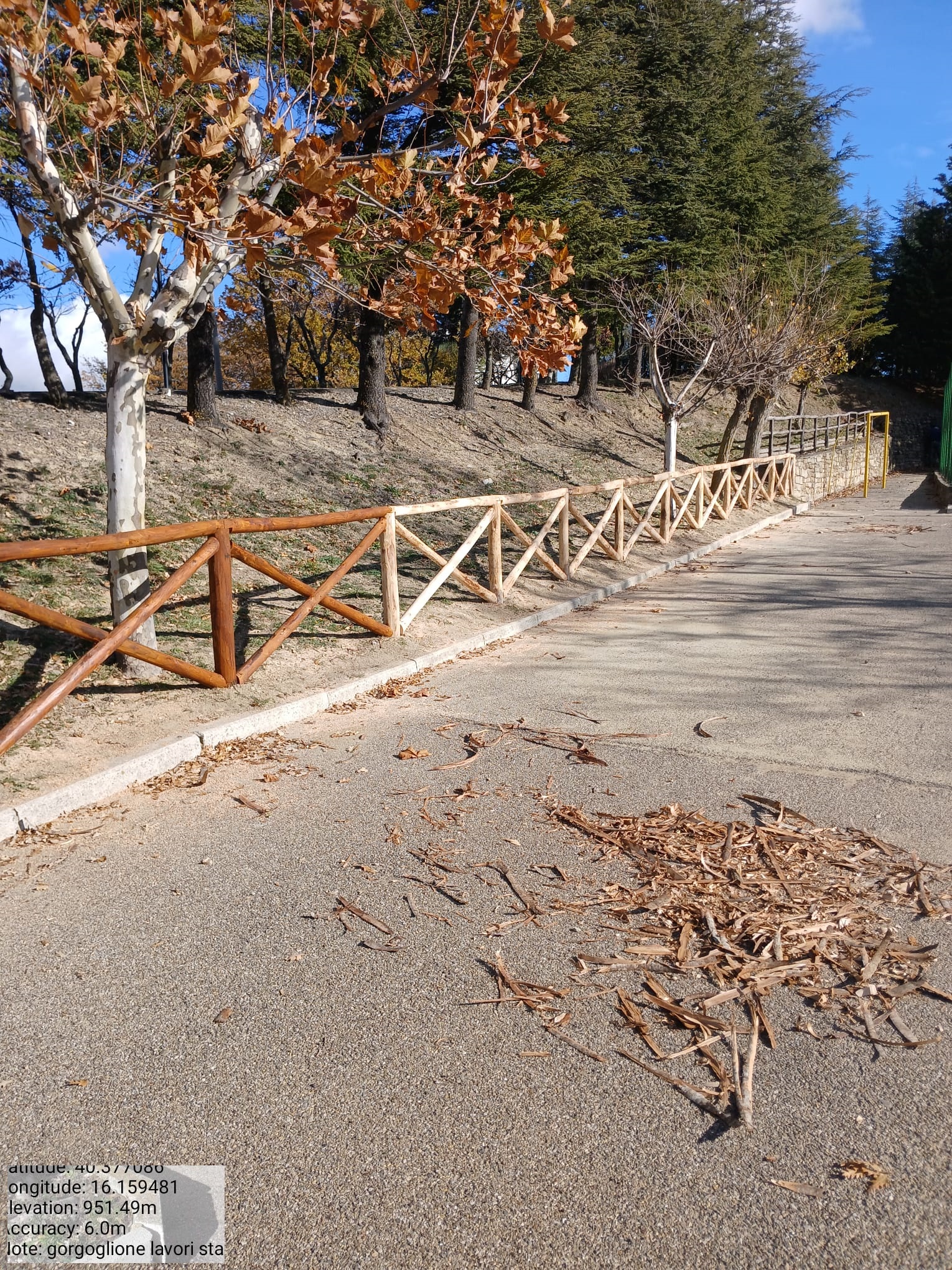 Galleria Fotografica Immagine