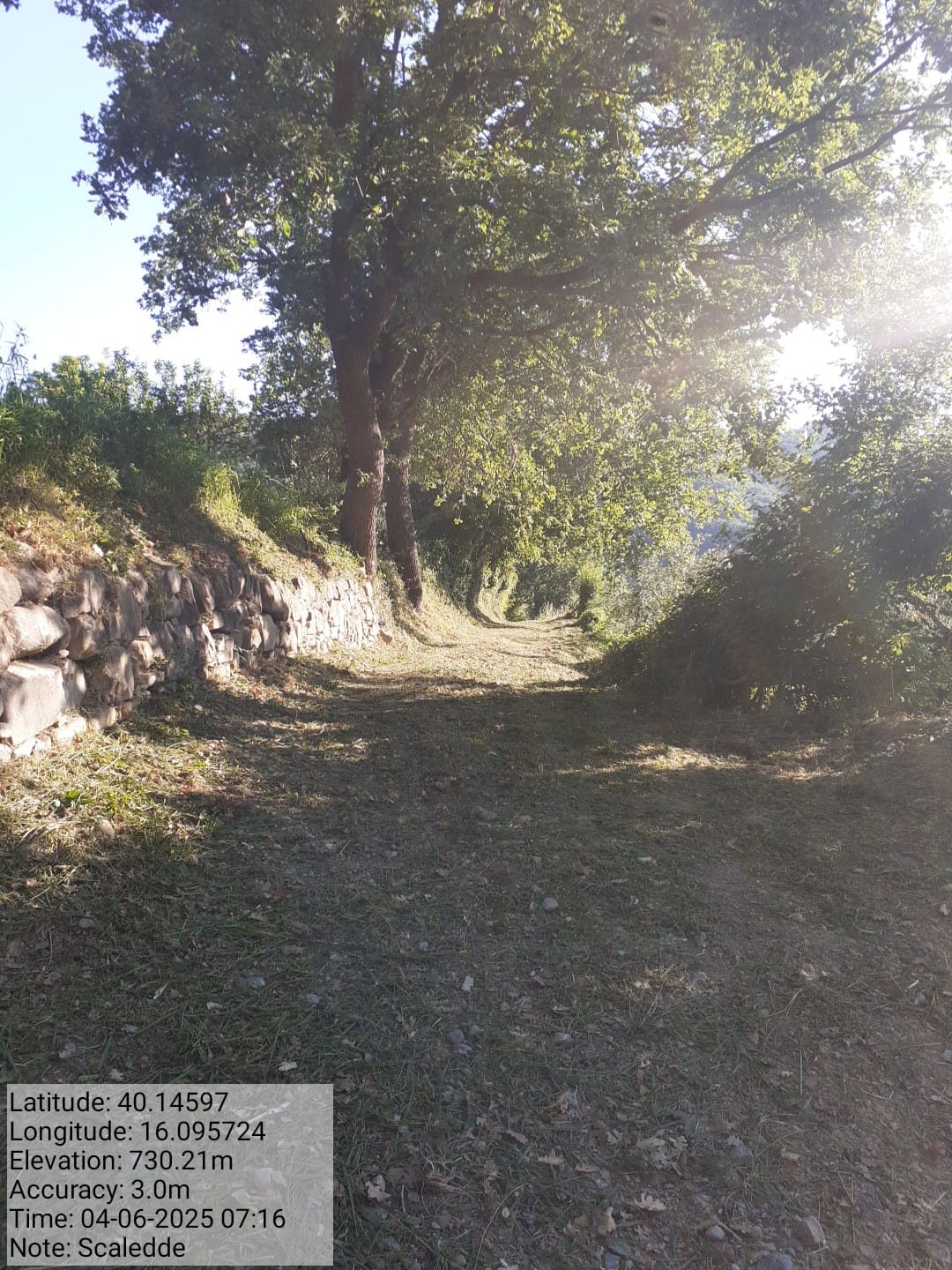 Galleria Fotografica Immagine