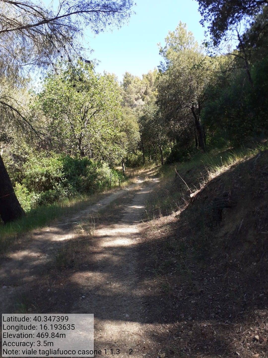 Galleria Fotografica Immagine