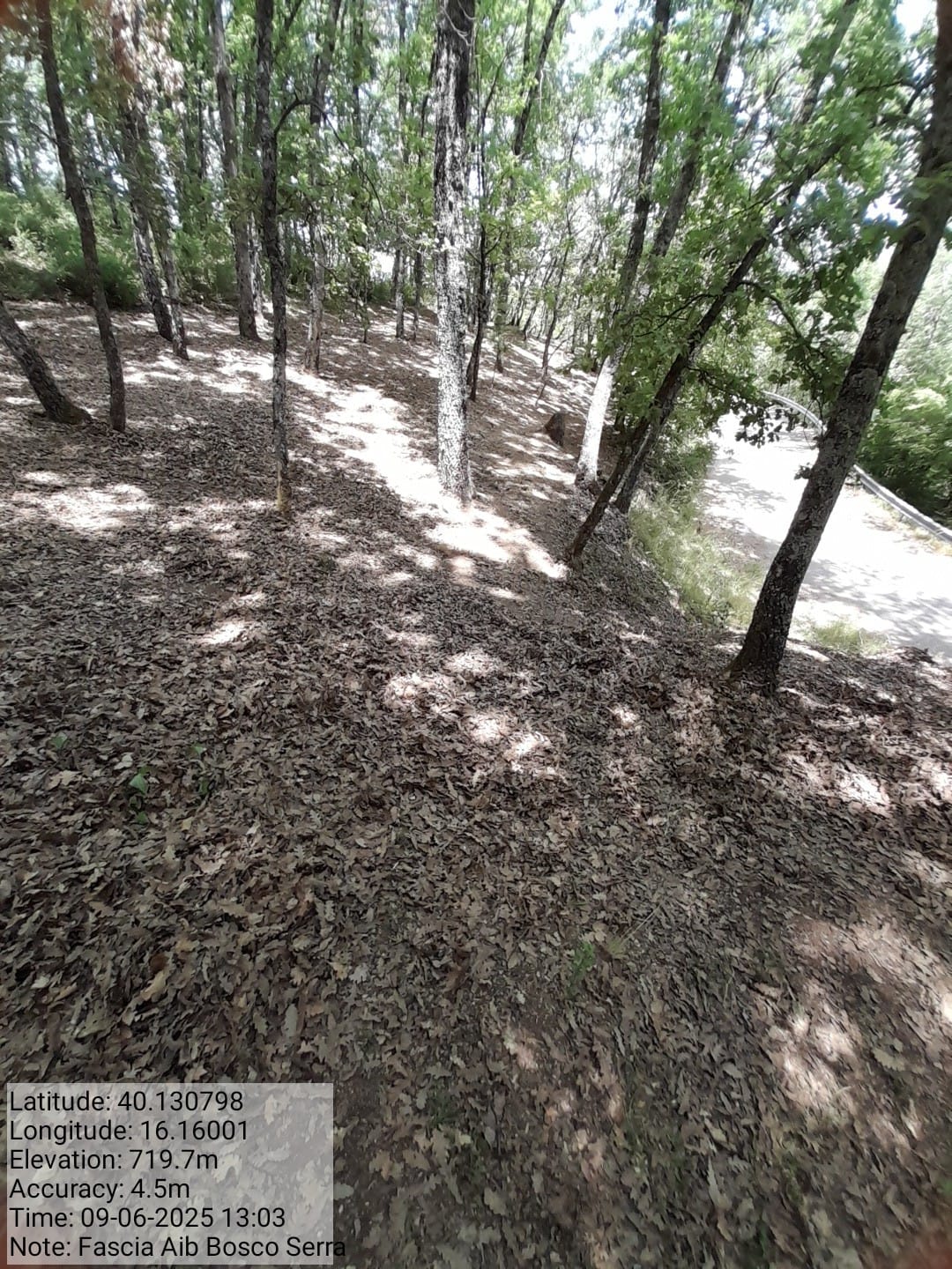 Galleria Fotografica Immagine