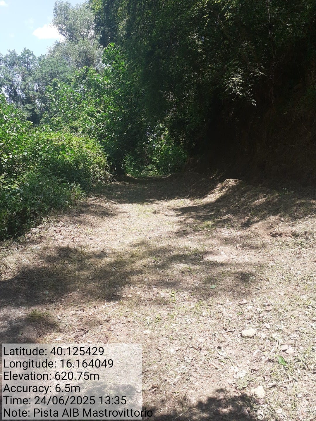 Galleria Fotografica Immagine