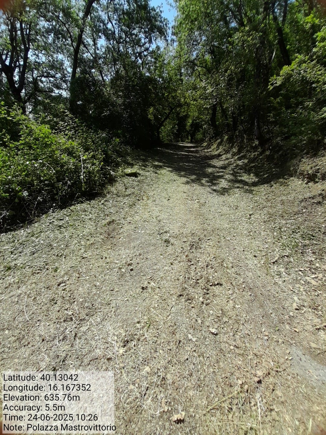 Galleria Fotografica Immagine