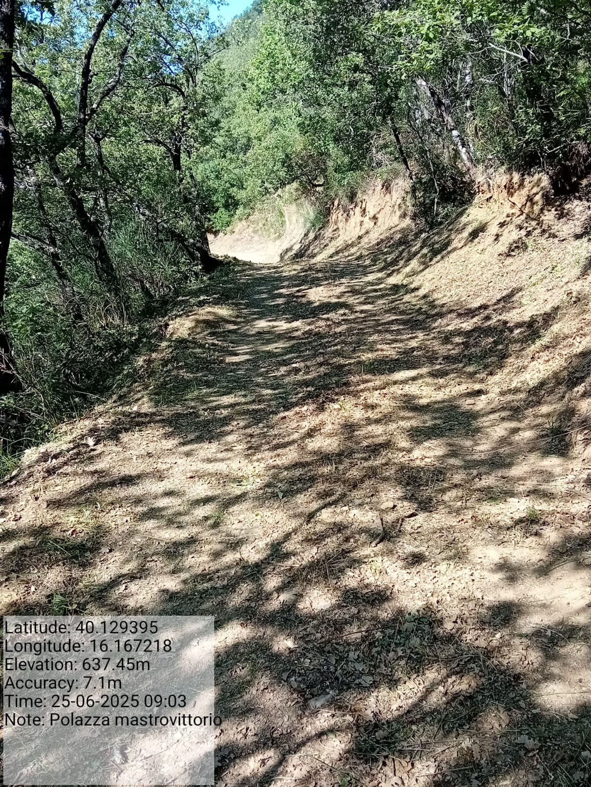 Galleria Fotografica Immagine