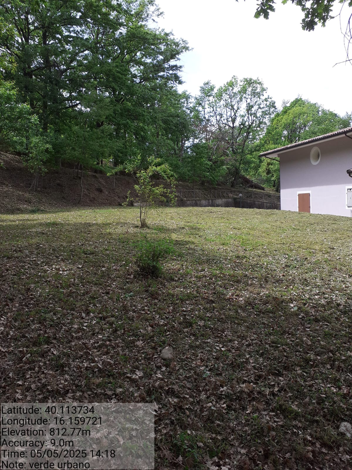 Galleria Fotografica Immagine