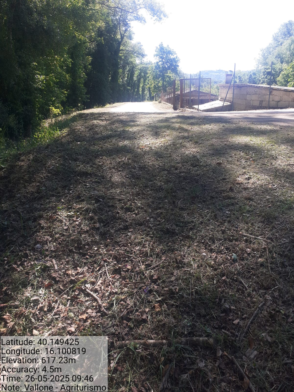 Galleria Fotografica Immagine