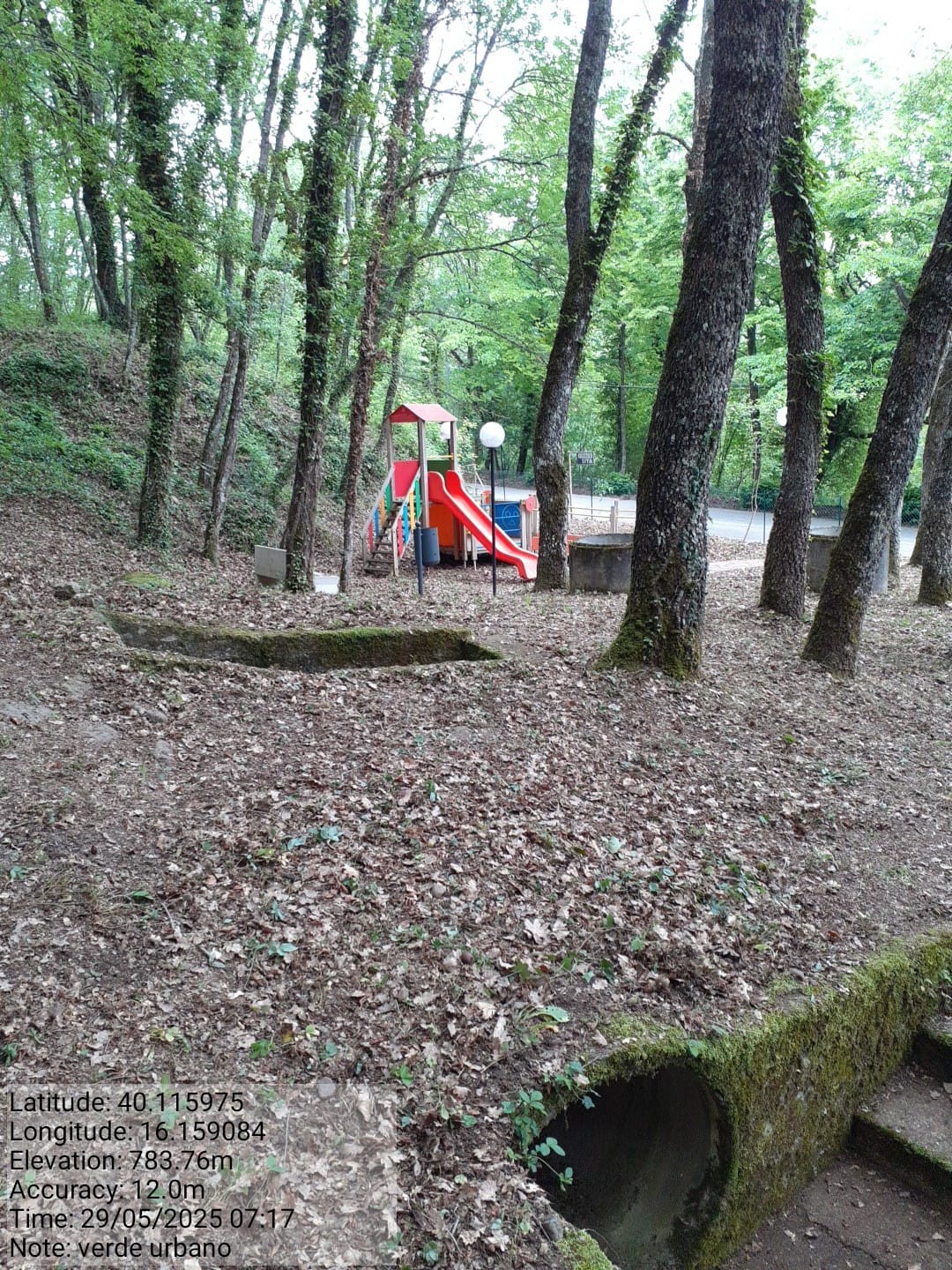 Galleria Fotografica Immagine