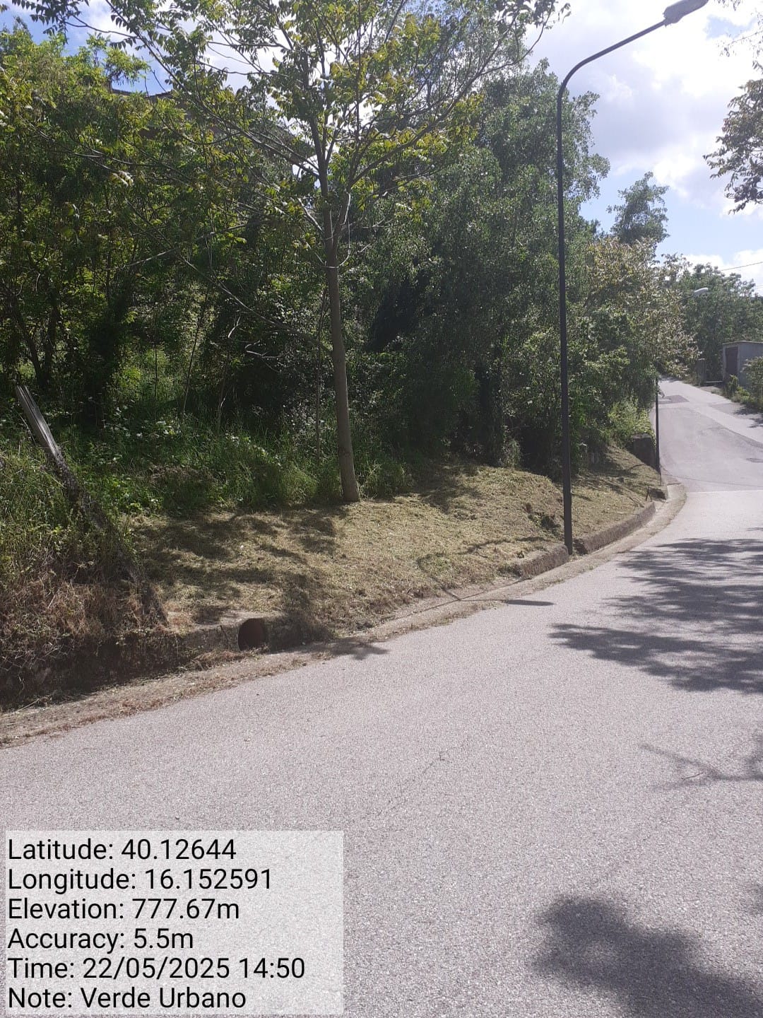 Galleria Fotografica Immagine