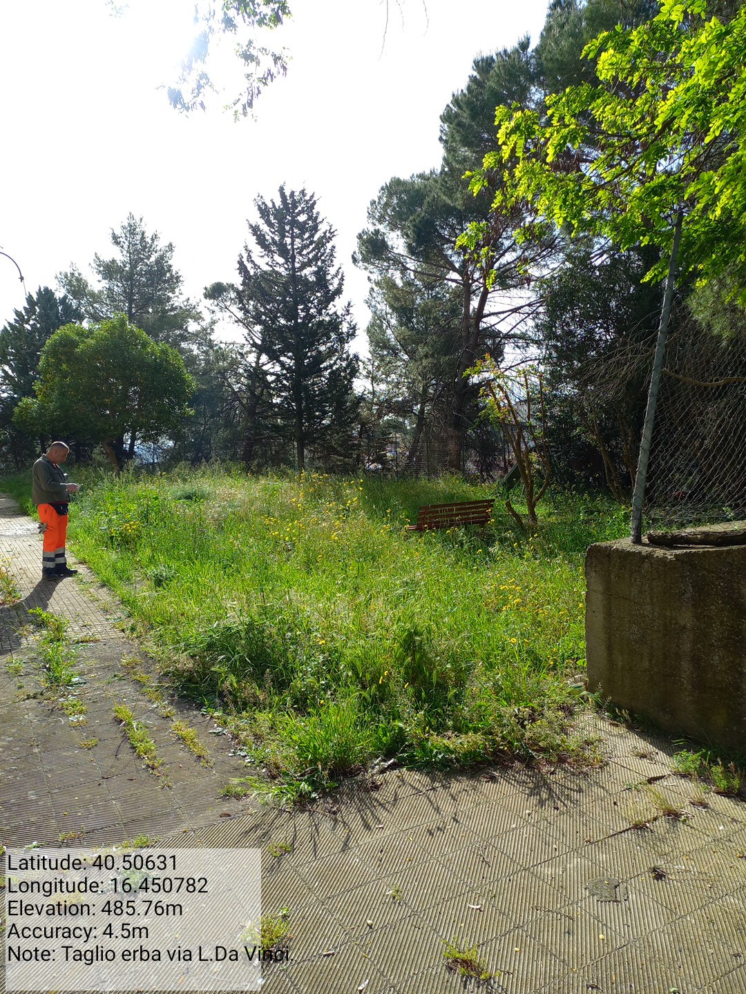 Galleria Fotografica Immagine