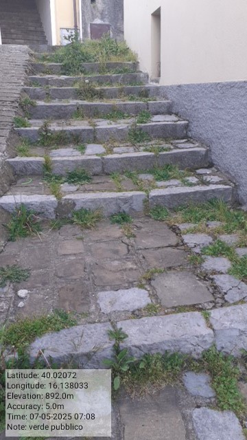 Galleria Fotografica Immagine