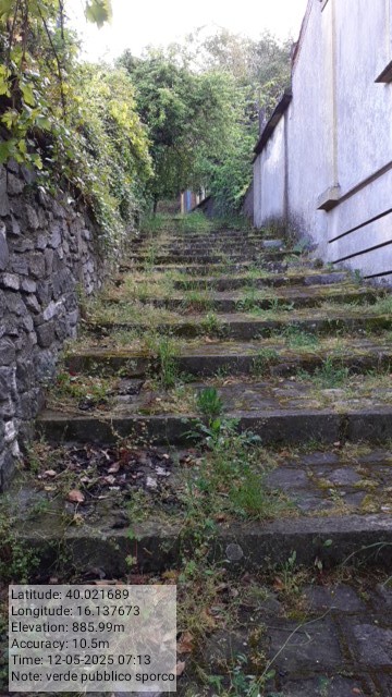 Galleria Fotografica Immagine