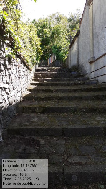 Galleria Fotografica Immagine