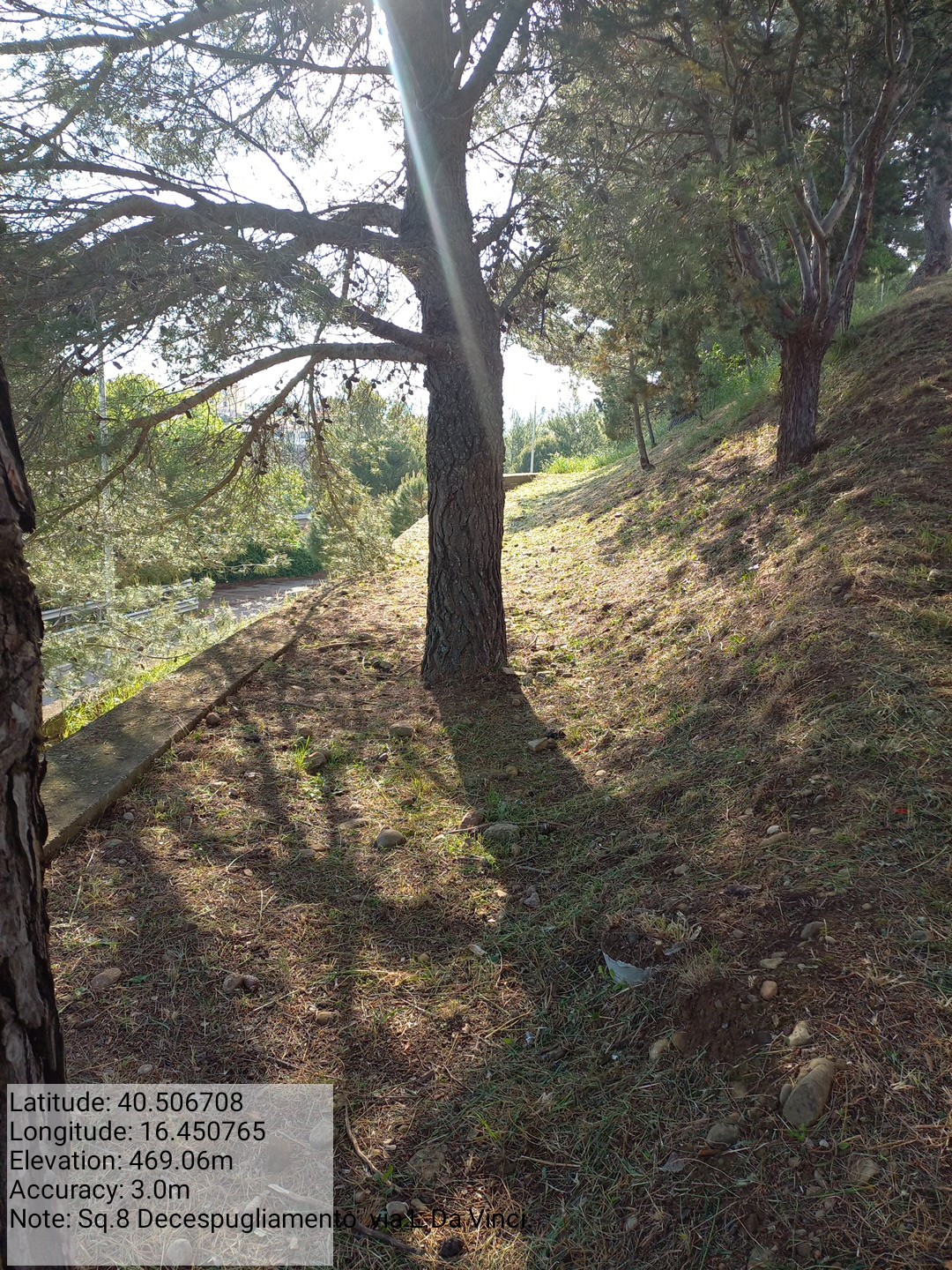 Galleria Fotografica Immagine