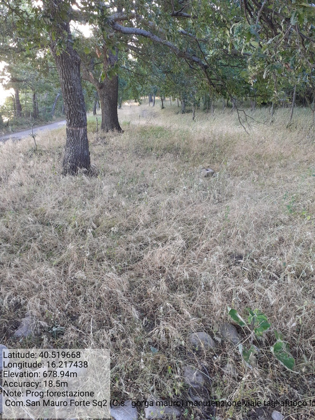 Galleria Fotografica Immagine