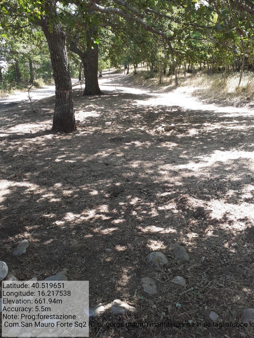 Galleria Fotografica Immagine