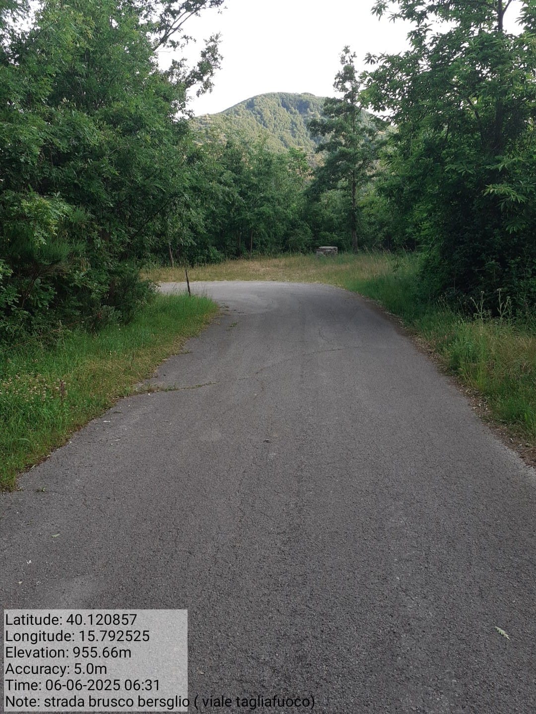 Galleria Fotografica Immagine