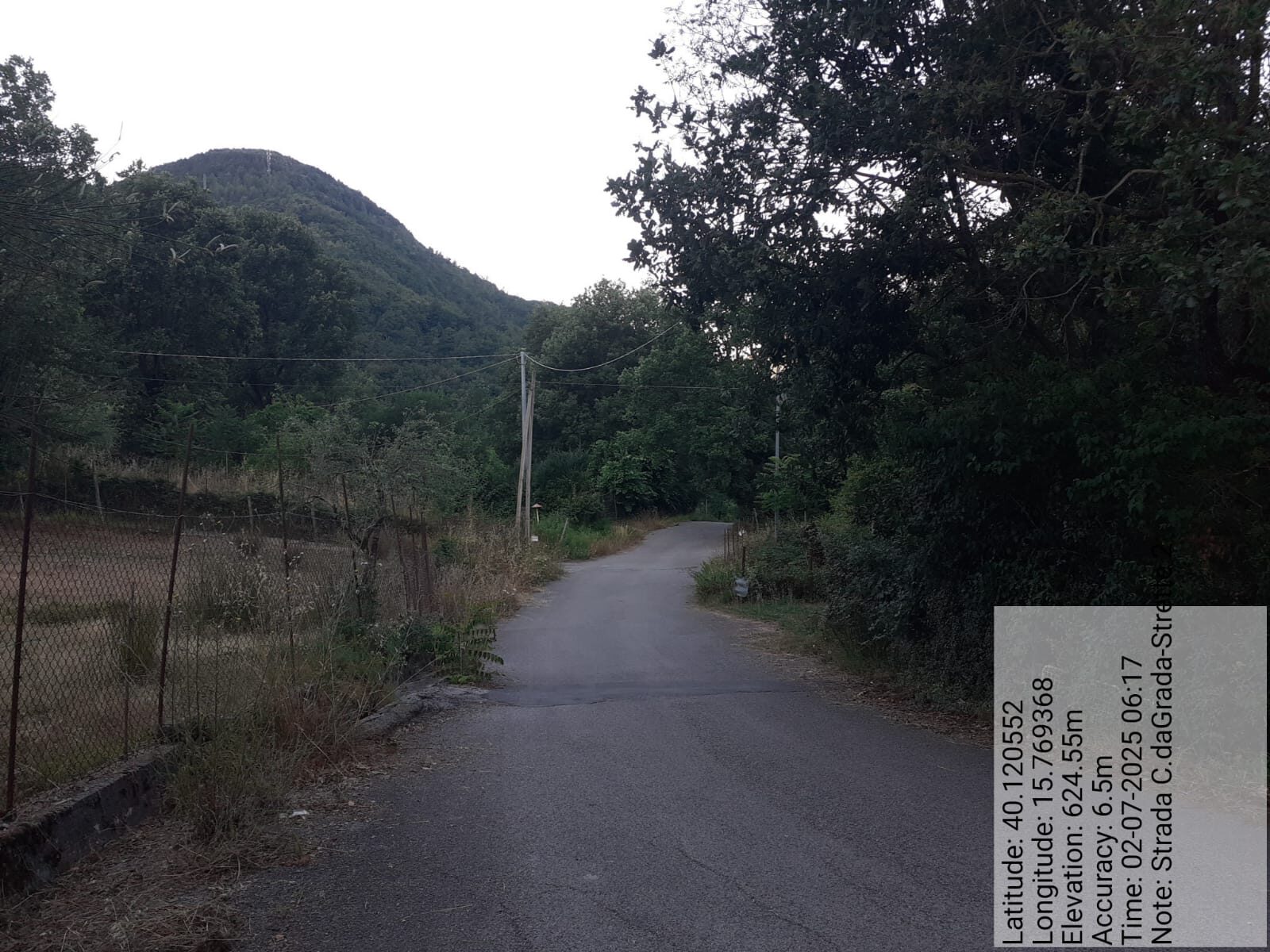 Galleria Fotografica Immagine