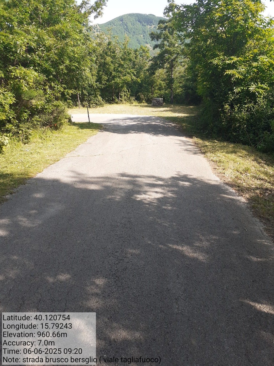 Galleria Fotografica Immagine