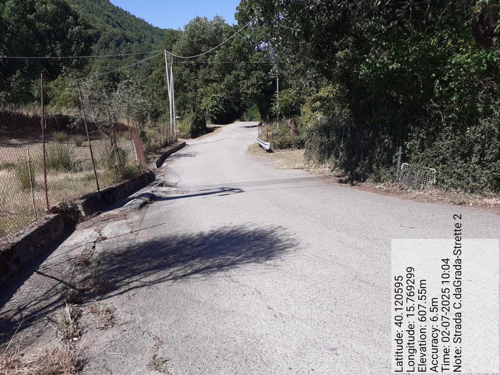 Galleria Fotografica Immagine