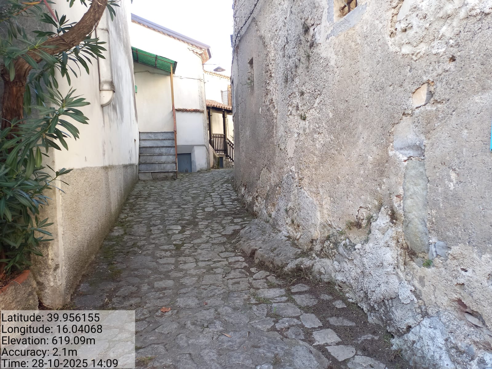 Galleria Fotografica Immagine