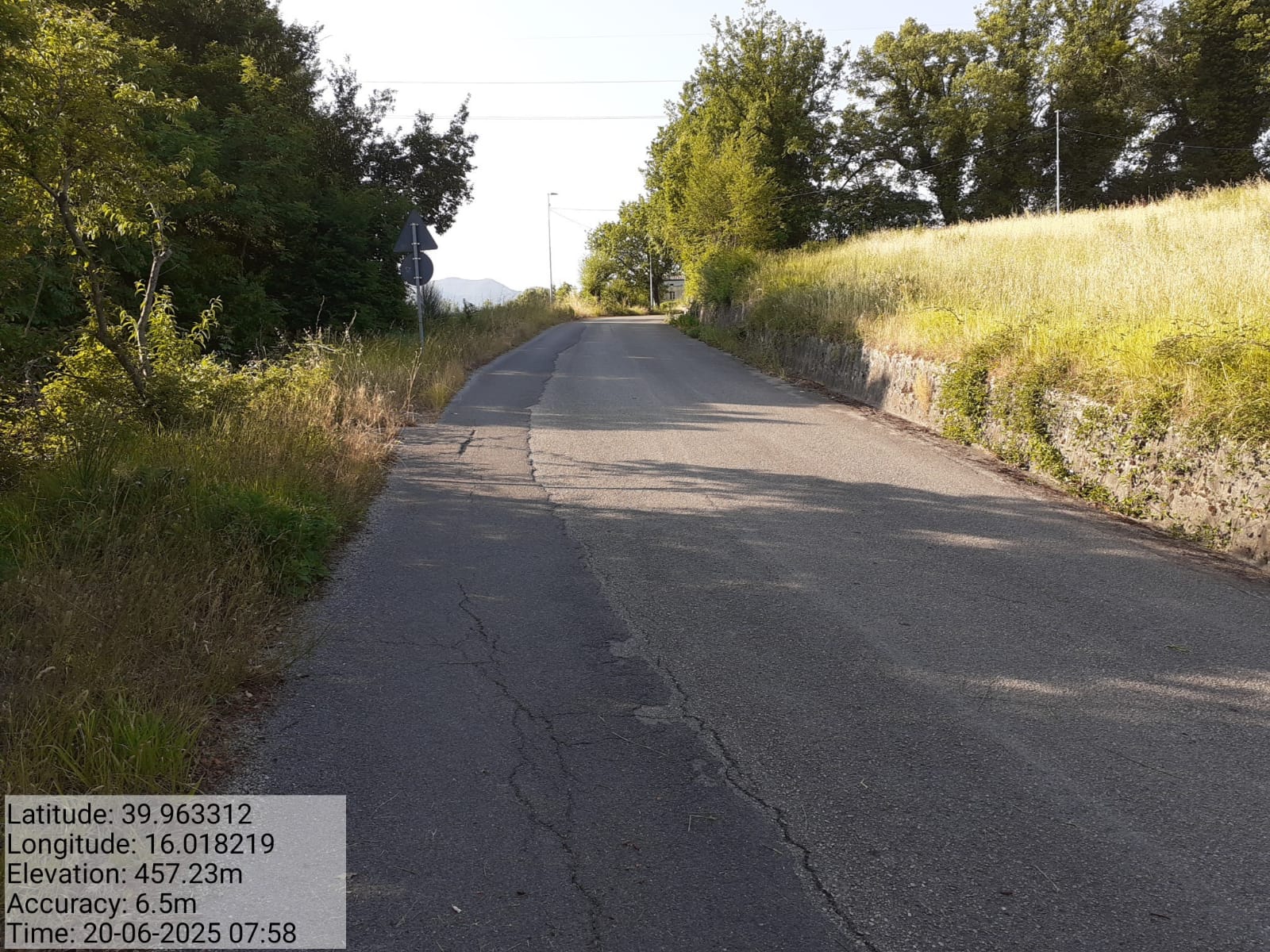 Galleria Fotografica Immagine