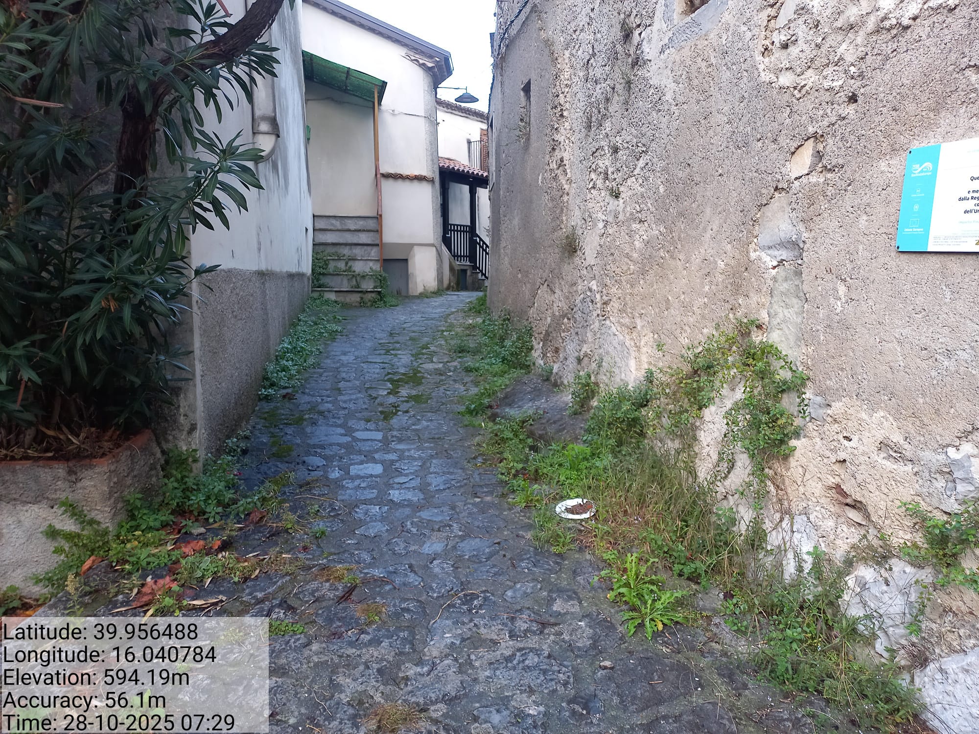 Galleria Fotografica Immagine