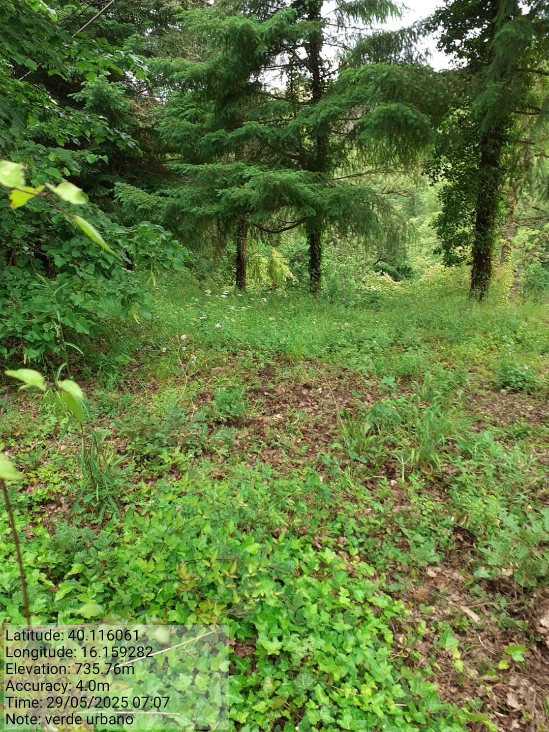 Galleria Fotografica Immagine